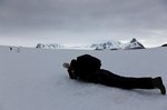 Chris und die Adeline Pinguine