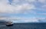 Die Plancius fährt vor uns aus Richtung Falkland Inseln
